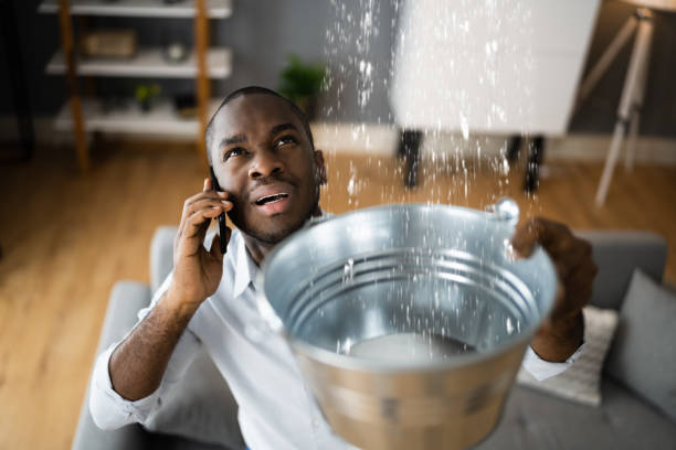 Best Ceiling water damage repair  in Sudan, TX
