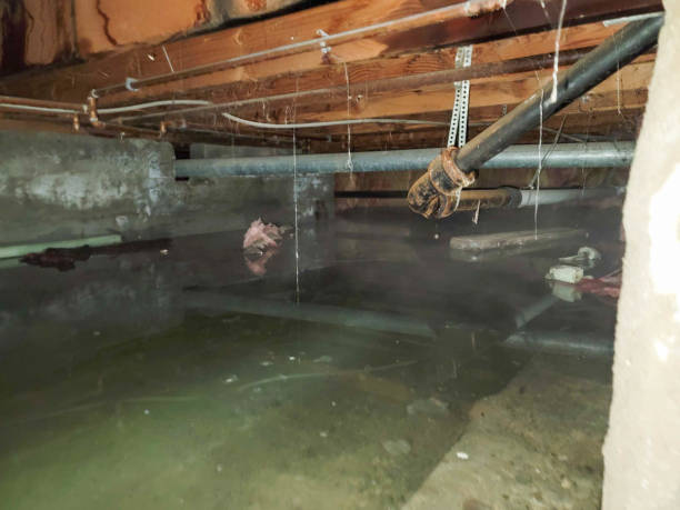 Best Water damage restoration insurance claims  in Sudan, TX