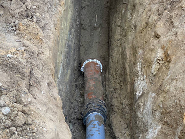 Best Flood damage cleanup  in Sudan, TX