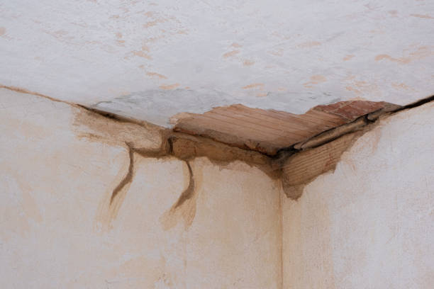 Best Water damage cleanup near me  in Sudan, TX