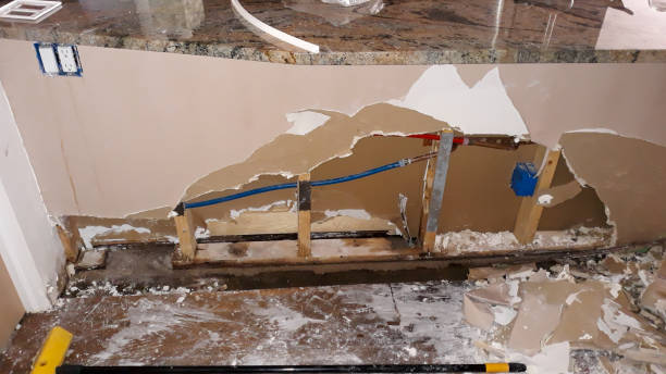 Best Fire Damage Restoration  in Sudan, TX