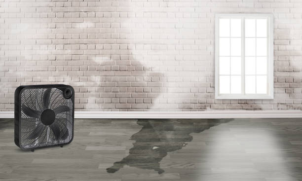  Sudan, TX Water damage restoration Pros