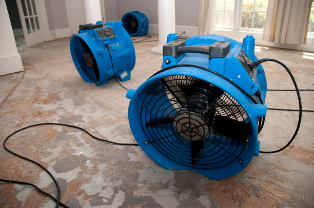 Trusted Sudan, TX Water damage restoration Experts