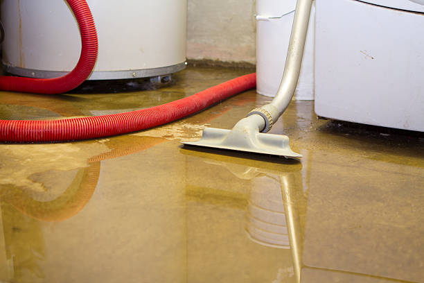 Best 24/7 water damage repair  in Sudan, TX