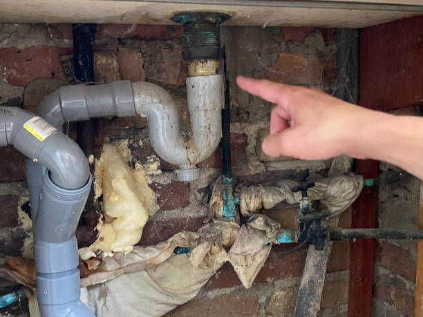 Best Local water damage restoration  in Sudan, TX