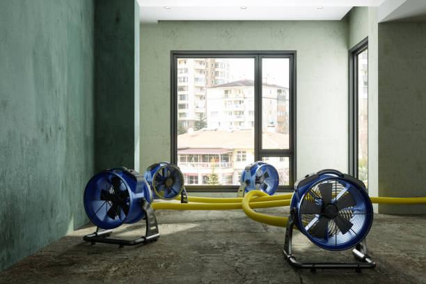 Best Water damage repair service  in Sudan, TX